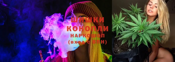 прущие грибы Нефтекумск