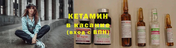 прущие грибы Нефтекумск