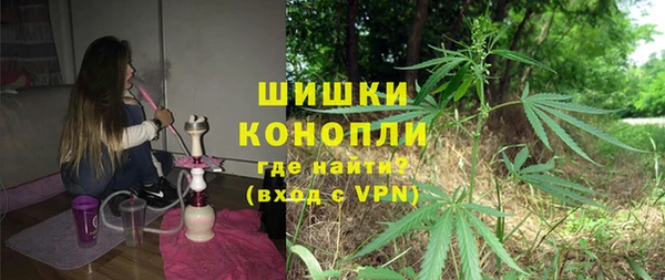 прущие грибы Нефтекумск