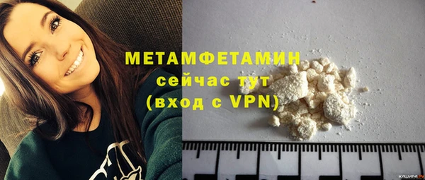 прущие грибы Нефтекумск
