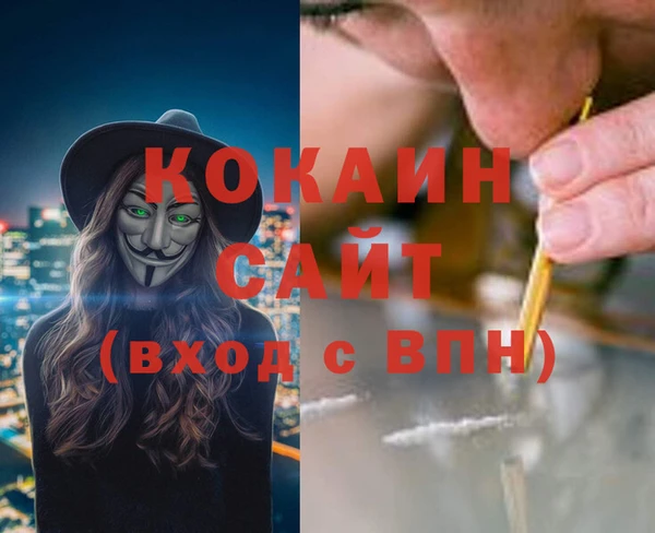 прущие грибы Нефтекумск