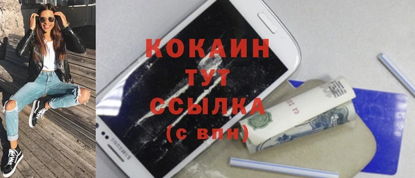 прущие грибы Нефтекумск